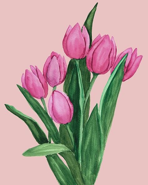 Tulip Drawing, Easter Drawings, Tulip Painting, Tulips Art, Watercolor Tulips, 수채화 그림, Floral Illustration, Botanical Painting, Pink Tulips