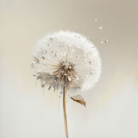 Dandelion Oil Painting, Hospital Artwork, Dandelion Aesthetic, Dandelion Illustration, Dandelion Oil, Dandelion Painting, Dandelion Art, Dandelion Tattoo, White Dandelion