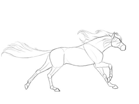 Horse Running Gif Running Horse, A Drawing, A Horse, Line Drawing, Gif, Running, Tumblr, Drawings