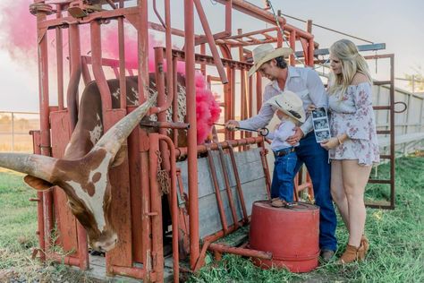 Western Style Gender Reveal, Western Gender Reveals, Farming Gender Reveal Ideas, Rodeo Gender Reveal Ideas, Horse Gender Reveal Ideas, Gender Reveal Country, Bull Or Heifer Gender Reveal, Cowboy Pregnancy Announcement, Farm Gender Reveal Ideas