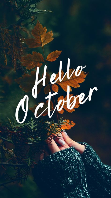 Hello October 2023, October Screensaver, Hello October Month, Hello October Aesthetic, October Graphics, Hello October Wallpapers, Happy New Month October, October New Month, New Month October