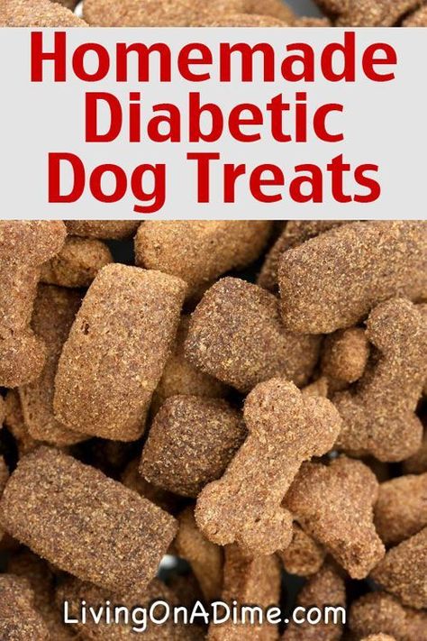 Homemade Diabetic Dog Treats Recipe - Just 3 Ingredients you already have at home! Homemade Pet Treats, Dog Food Recipe, Pet Treats Recipes, Dog Biscuit Recipes, Healthy Dog Treats Homemade, Dog Treats Homemade Recipes, Dog Treats Recipe, Diy Dog Treats, Food Dog