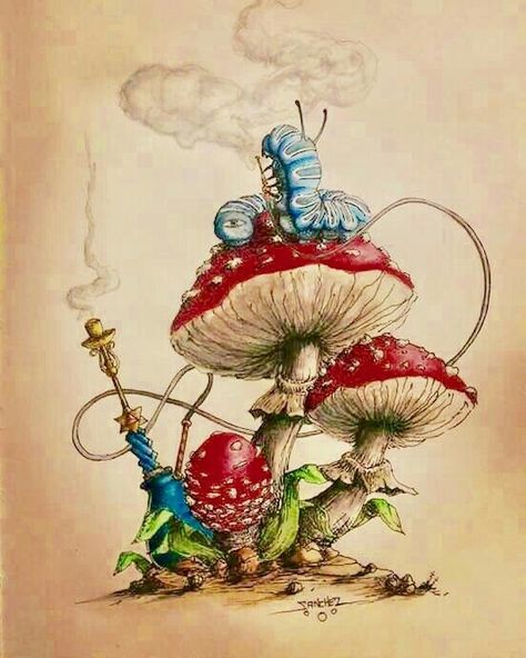 Colorful mushrooms and caterpillar Quotes Alice In Wonderland, Alice In Wonderland Mushroom, Tweedle Dee Tweedle Dum, Alice And Wonderland Tattoos, Alice In Wonderland Artwork, Tweedle Dum, Alice In Wonderland Illustrations, Alice In Wonderland Drawings, Wonderland Artwork