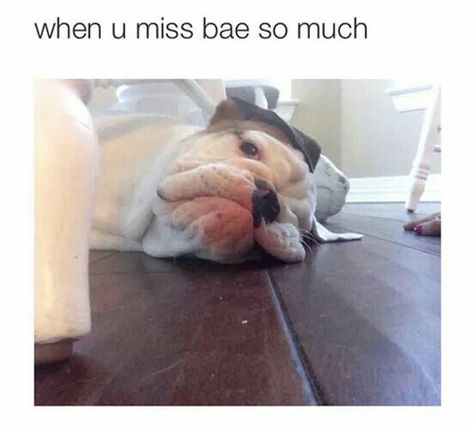 Awwwwwwww TOO CUTE 😍😍😍 When You Miss Bae, Bae Meme, Missing Bae, Bae Funny, Boyfriend Memes, Funny As Hell, Relationship Memes, Funny Relationship, Funny Love