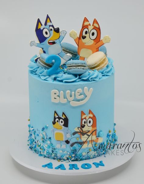 Best Bluey Cake - AC78 - Amarantos Cakes Bluey Buttercream Cake Ideas, Pastel De Bluey, 2nd Birthday Cake Boy, Bingo Cake, Bingo Bluey, Confirmation Cakes, Peppa Pig Birthday Party, Bluey Birthday, 2 Birthday Cake