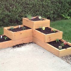 Kebun Herbal, Garden Boxes Raised, Small Vegetable Gardens, Tiered Garden, Budget Garden, Plants Growing, Pallet Garden, Have Inspiration, Wooden Planters