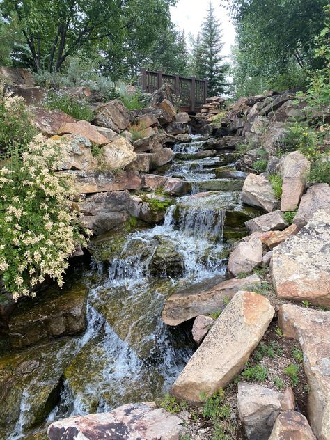 This Colorado garden spotlights plants adapted to grow in fragile mountain environments. Mountain Gardening, Crevice Garden, Mountain Ecosystem, Colorado Garden, Mountain Garden, Garden Spotlights, Betty Ford, Alpine Garden, Colorado Landscape