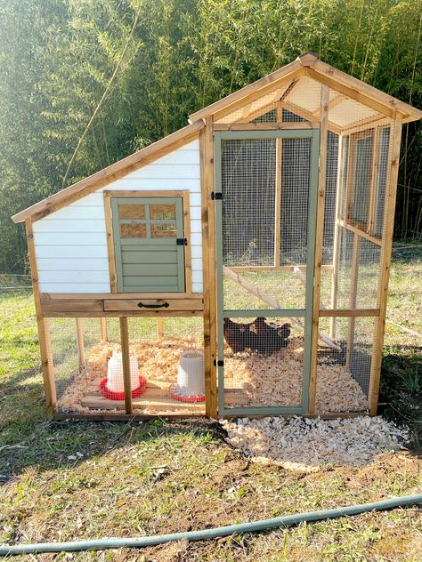 Bantam Chicken Coop, Silkie Coop, Building A Chicken Run, A Frame Chicken Coop, Chicken Enclosure, Bantam Chicken, Quail Coop, Chicken Coop Ideas, Chicken Shed