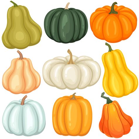 PRICES MAY VARY. Pumpkin Bulletin Board Decoration: You will get 45 pieces pumpkin cutouts for bulletin board decor, 9 styles, each style contains 5 pieces, package come with 100 pieces glues for easy apply, sufficient quantity and enough glues can satisfy your decoration needs. Pumpkin Theme Decor: Designed with different styles and colors pumpkins, fit for fall, autumn, thanksgiving and harvest party decorations, or many pumpkin theme party decoration. Great for decorating walls, classroom, bu Different Colored Pumpkins, Autumn Festival Decorations, Autumn Classroom Decorations, Harvest Party Decorations, Fall Cutouts, Classroom Wall Displays, Free Preschool Activities, Bulletin Board Decoration, Pumpkin Shapes