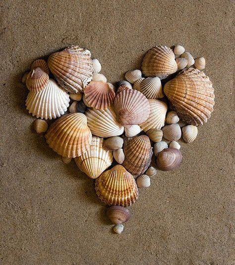 My heart is on the beach! Kristina Webb, Heart In Nature, Art Coquillage, Deco Nature, Sea Crafts, She Sells Seashells, Wallpaper Pastel, I Love Heart, Foto Tips