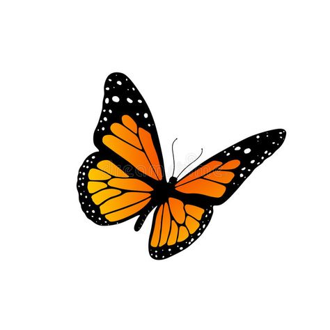 Monarch butterfly. Illustration of a monarch butterfly isolated on white #Sponsored , #AD, #Ad, #butterfly, #white, #isolated, #Monarch Monarch Butterfly Images, Butterfly Photo, Heart Coloring Pages, Butterfly Images, Butterfly Clip Art, Awesome Tattoos, Butterfly Photos, Butterfly Pictures, Stock Art