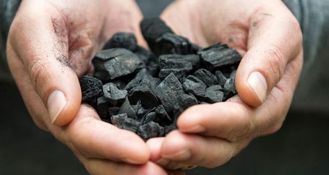 Breakthrough Zero-Carbon Fertilizer Set to Take Root Across the World as ‘Biochar’ Carbon Sink, Wood Charcoal, Vertical Farming, Positive News, Yard Waste, Rain Water Collection, Things Under A Microscope, Old Christmas, Yard Work