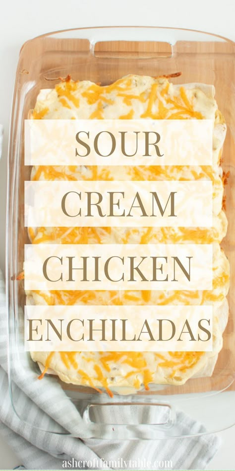 If you're looking for easy dinner recipes, make these delicious sour cream chicken enchiladas with white sauce! It's one of the best easy meals and my favorite white chicken enchilada recipe. You can use shredded, baked, or rotisserie chicken for this enchilada dinner recipe for family. Easy Sour Cream Chicken Enchiladas, Sourcream Chicken Enchiladas, Chicken Enchiladas With Sour Cream, Homemade Chicken Enchiladas, White Sauce Enchiladas, Sour Cream Chicken Enchilada Recipe, Sour Cream Chicken Enchiladas, Cream Chicken Enchiladas, Pulled Chicken Recipes