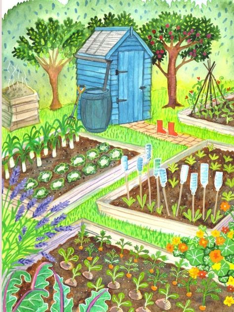 Vegetable Garden Illustration Art, Watercolour Garden Paintings, Gardener Painting, Allotment Design, Veg Growing, Knitting Cartoon, Vegetable Patch, Garden Illustration, Paper Puppets