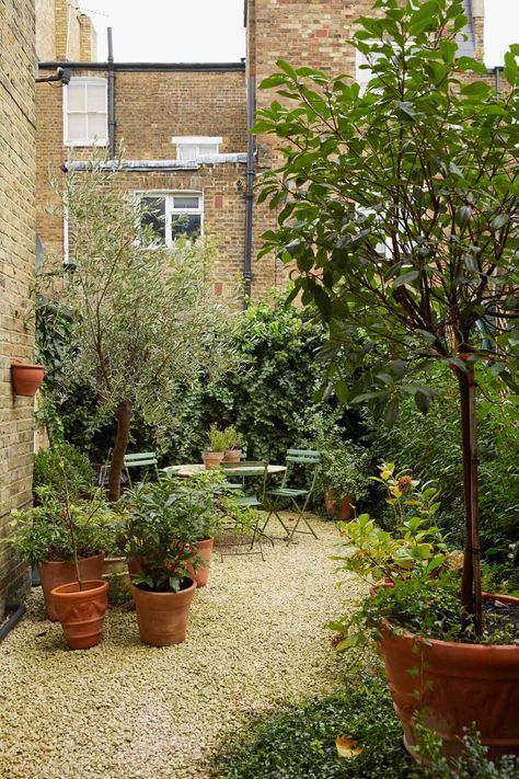 A Charming Antique Apartment in London with a Garden 19 London Terrace Garden, Victorian Terrace Backyard, Terraced House Back Garden, London Townhouse Garden, London Courtyard Garden, City Garden Ideas Small Spaces, Victorian Terrace Garden Back, Victorian House Garden, London Garden Ideas