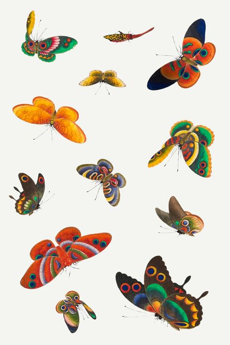 Baby Bugs Bunny, Chinese Butterfly, Chinese Graphic, Butterfly Animal, About Butterfly, Butterfly Painting, Butterfly Watercolor, Authentic Design, Vintage Butterfly