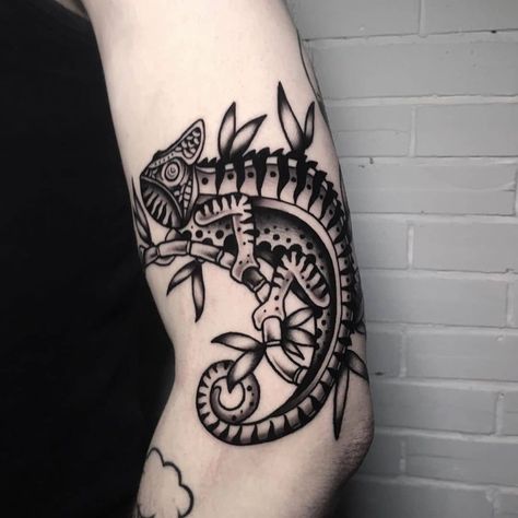 #Tattoos,lizard tattoo Chameleon Traditional Tattoo, Traditional Gecko Tattoo, American Traditional Chameleon Tattoo, Lizard Traditional Tattoo, Chameleon Tattoos, Tattoo Lizard, Reptile Tattoo, Gecko Tattoo, Chameleon Tattoo