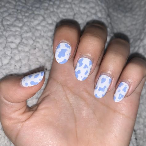 Different Color Cow Print Nails, Colored Cow Print Nails, Cow Print Nails Colorful, Pink And Blue Cow Print Nails, Purple Cowprint Nails, Blueberry Cow Nails, Light Blue Cow Print Nails, Blue Cow Print Nails Acrylic, Color Cow Print Nails