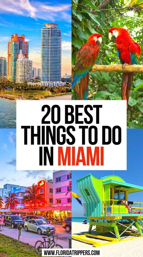 20 Best Things to do in Miami South Beach Miami Nightlife, Miami Birthday Ideas, Fun Things To Do In Miami, Things To Do In Miami Florida, Downtown Miami Night, Miami Beach Nightlife, Miami Night Life, Miami With Kids, Miami At Night