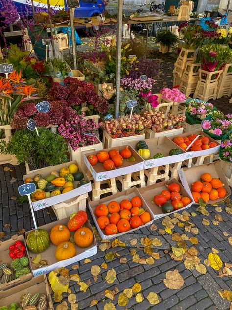 Fall Farmers Market Aesthetic, Fall Farmers Market, Cookbook Club, Autumn Market, Autumn Mood Board, Market Aesthetic, Autumn Bucket List, Fall Market, Wallpaper Autumn