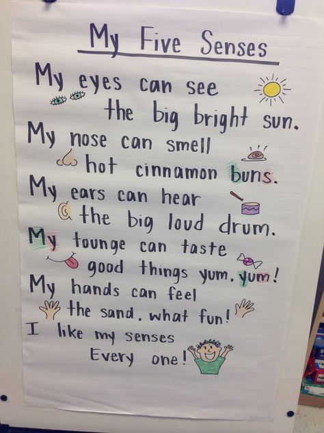 Ms. Rogers 5 senses poem 5 Senses Poem Preschool, 5 Senses Song, Five Senses Lesson Plans Preschool, 5 Senses Activities For Infants, 5 Senses Songs Preschool, 5 Senses Lesson Plans Preschool, Poems For Kindergarteners To Memorize, Five Senses For Preschool, 5 Senses Kindergarten Activities