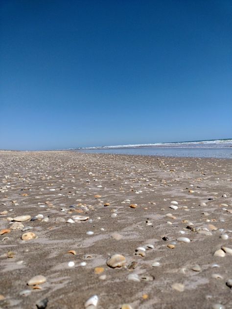 Texas Beach Aesthetic, Corpus Christi Texas Aesthetic, Corpus Christi Beach, Fake Pfp, College Vibes, Texas Trip, Texas Beaches, 17 Birthday, Big Shell