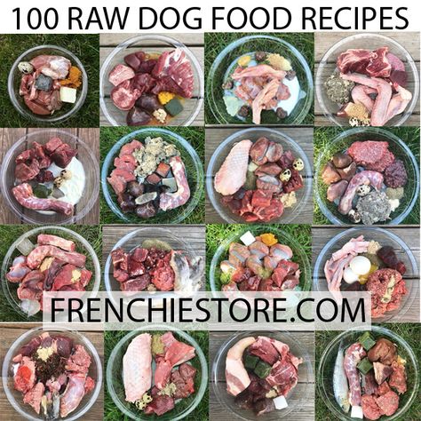 We have teamed up with our friends that are raw feeding experts to bring you 100 raw dog feeding recipes along with helpful information when it comes to raw feeding your pet. Raw Dog Feeding, Raw Food Diet For Dogs Recipes, Feeding Raw Diet To Dogs, How To Make Raw Dog Food, Raw Puppy Food Recipes, Raw Feeding For Dogs Food Recipes, Raw Dog Food Diet Recipes, Dog Raw Food Diet, Dog Raw Food Diet For Beginners