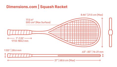 A Squash Racket, also referred to as Squash, is used to play the sport of Squash based on striking a ball towards the walls of the interior court. Squash rackets are typically made of boron, Kevlar, graphite, or titanium. Squash rackets are similar to a tennis racket in appearance, but vary in size and weight. Downloads online #sports #squash Squash Sport, Squash Rackets, Tennis Posters, Vintage Tennis, Sport Illustration, Canvas Drawings, Health Nutrition, Character Sheet, Drawing Poses