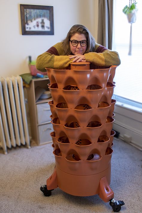 Trying Out the Garden Tower 2 - A Vertical Planter For Growing 50 Plants Tower Garden Diy, Grow Tower, Plant Tower, Stackable Planters, Garden Tower, Strawberry Tower, Vertical Vegetable Garden, Flower Tower, Backyard Balcony