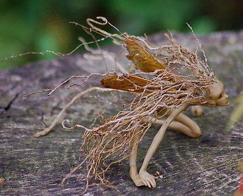 twig fairy Yard Crafts, Tree Root, Faeries Gardens, Deco Nature, Forest Creatures, Fairies Elves, Art Et Illustration, Mystical Creatures, Fairy Art