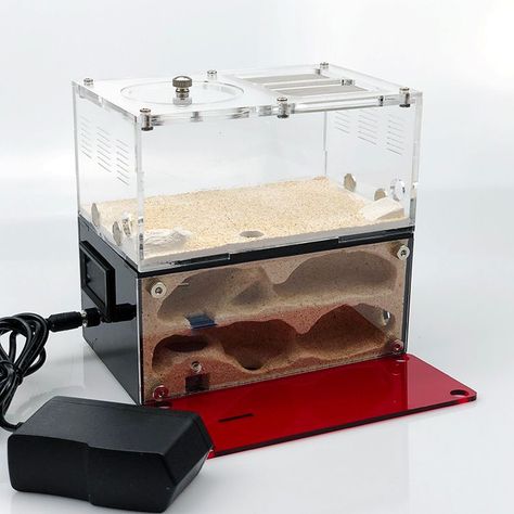 none Space Lab, Ant Farm, Ant Farms, Small Animal Supplies, Transparent Design, Test Tube, Removable Wall, Ants, Small Pets