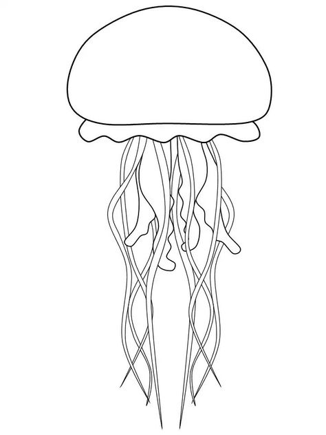 Jelly Fish Drawing Ideas, Sea Animal Outline, Jellyfish Drawing Simple, Jellyfish Template, Jellyfish Outline, Jellyfish Coloring, Fish Outline, Jellyfish Pictures, Jellyfish Drawing