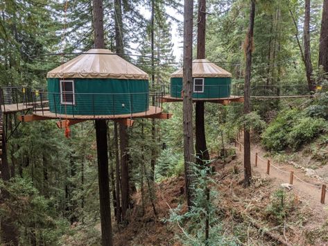 Yurt Treehouse, Yurts For Sale, Treehouse Resort, Tent Platform, Resort Ideas, Yurt Living, Glamping Ideas, Tree Tent, Tent Living