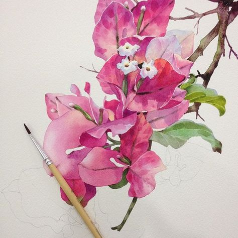 Art In Bathroom, Florals Watercolour, Orchids Painting, Watercolor Flowers Tutorial, Seni Cat Air, Watercolor Flower Art, Watercolor Art Lessons, Watercolor Flowers Paintings, Botanical Watercolor