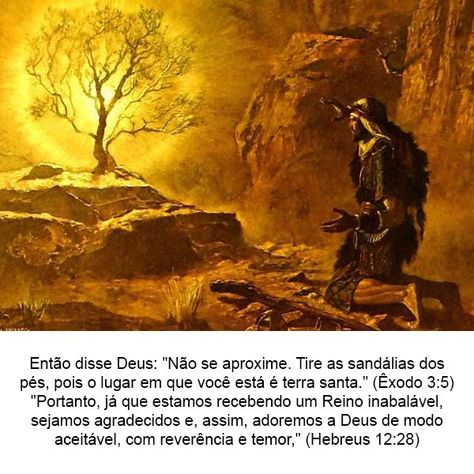 Então disse Deus: "Não se aproxime. Tire as sandálias dos pés, pois o lugar em que você está é terra santa." (Êxodo 3:5) "Portanto, já que estamos recebendo um Reino inabalável, sejamos agradecidos e, assim, adoremos a Deus de modo aceitável, com reverência e temor," (Hebreus 12:28) Exodus 3, Terra Santa, Hebrews 12, Burning Bush, Serve God, Biblical Art, Jesus Is Life, Angel Pictures, Spiritual Warfare