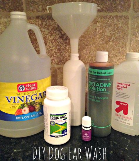 DIY Dog Ear Infection Cleaner (lavender essential oil) Dog Ear Wash, Diy Dog Wash, Cleaning Dogs Ears, Pet Remedies, Dog Ear Cleaner, Dogs Ears Infection, Dog Remedies, Oils For Dogs, Dog Wash