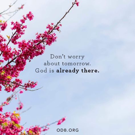 Don't worry about tomorrow, God is already there Worry Quotes Bible, Spiritual Fitness, Dont Worry About Tomorrow, Christians Quotes, Christian Sayings, Spiritual Food, Biblical Truths, Favorite Scriptures, Ayat Alkitab