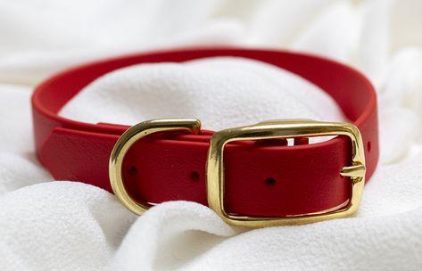 A red dog collar sits on a white background Red Dog Collar And Leash, Red Dog Collar Aesthetic, Red Dog Aesthetic, Dog Collar Aesthetic, Pet Regression, Velvet Dog Collar, Personalized Leather Dog Collar, Red Dog Collar, Aesthetic Dog