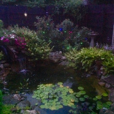 Love being in my yard more at night than during the day. The pond takes on a totally different dimension. Magical Night Aesthetic, Pretty Places At Night, Pond At Night Aesthetic, Moonlit Garden Aesthetic, Nature At Night Aesthetic, Midnight Garden Aesthetic, Dark Garden Aesthetic Night, Whimsigothic Garden, Garden At Night Aesthetic