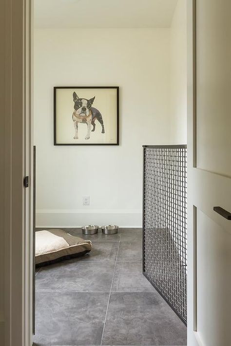 25+ Stylish Dog Door Ideas For The Discerning Pet Owner - Hey, Djangles. Indoor Dog Room, Dog Room Decor, Dog Bedroom, Puppy Room, Dog Spaces, Dog Room, Dog Area, Animal Room, Dog Rooms