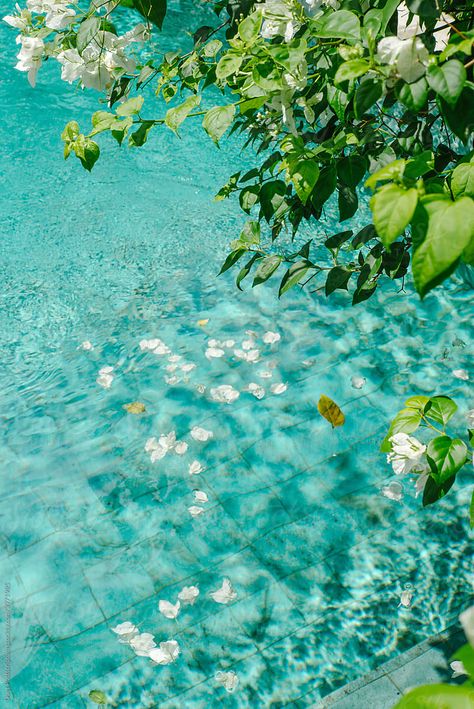 Clean Pool, Turquoise Aesthetic, Water Aesthetic, Water Background, Water Pictures, Water Pool, Theme Background, Summer Water, Pretty Landscapes