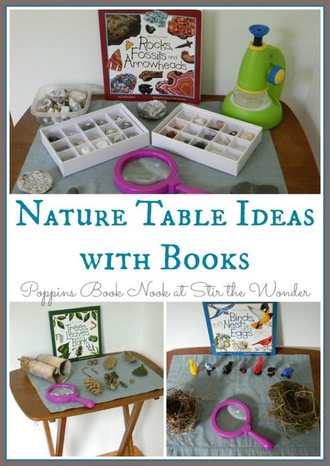 Including nature guides on a nature table is a great way to get young naturalists interested in reading! Teaching Garden, Science Table, Library Centers, Nature Exploration, Homeschool Nature Study, Nature Education, Nature School, Exploring Nature, Invitation To Play