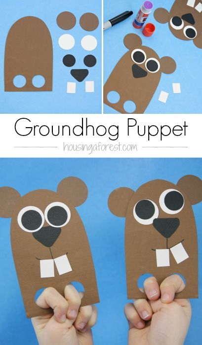 Groundhog Day Preschool, Groundhog Puppet, Ground Hog Day Crafts, Groundhog Day Craft, Preschool Groundhog, Groundhog Day Activities, Storytime Crafts, February Crafts, Winter Preschool