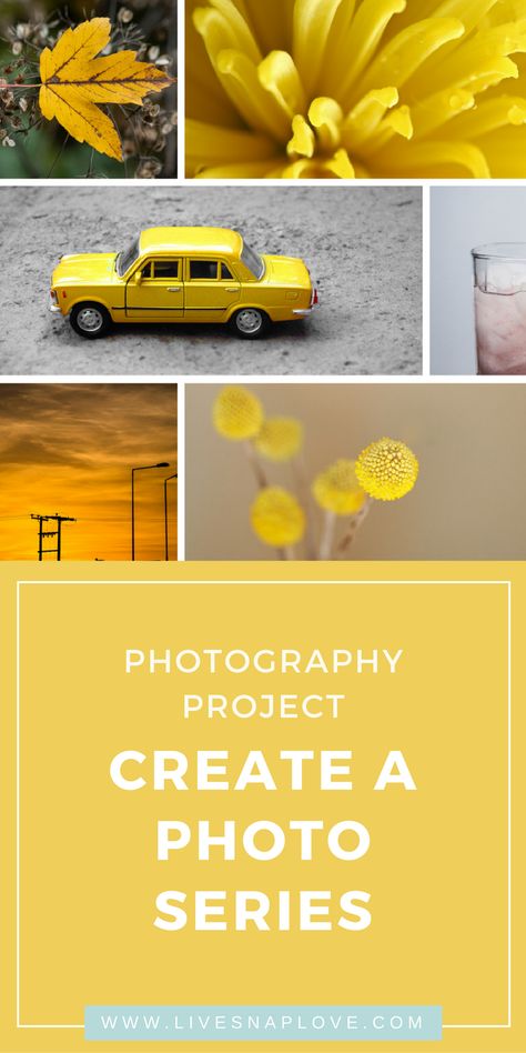 Beauty Fotografie, Series Photography, Creative Photography Projects, Foto Kids, Nikon D5500, Photo Lessons, Photo Hacks, Scrub Corpo, Photo Class