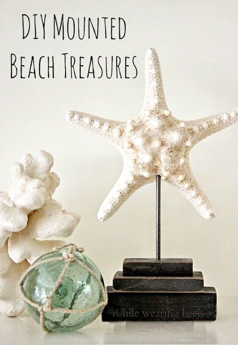 Pedestal stand for starfish made from salvaged architectural pieces. Featured on Completely Coastal: http://www.completely-coastal.com/2015/01/seashells-coral-driftwood-on-pedestal-stands.html Nautical Decor Diy, Deco Marine, Diy Beach Decor, Art Coquillage, Seashell Projects, Nautical Crafts, Diy Ombre, Dekor Diy, Sea Crafts