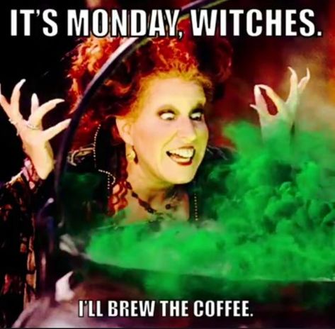 Memes Funny Hilarious So True, Crazy Coffee Lady, Funny Halloween Memes, Disney Characters Halloween, Happy Halloween Gif, Coffee Jokes, Happy Halloween Pictures, Witch Quotes, Halloween Memes