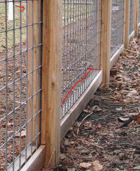 If you saw the FB post, here's out to build cattle panel fencing aka a cattle fence.     As I said, for this Fence Idea Use Cattle panels with 2x4's on the top, frame the ends in to secure the posts and use 1x4's on both sides of the bottom      16329      16' Cattle Panels are $20. (tractor Hog Panel Fencing, Cattle Panel Fence, Cattle Fence, Hog Wire Fence, Panel Fence, Cattle Panels, Building A Fence, Diy Fence, Farm Fence