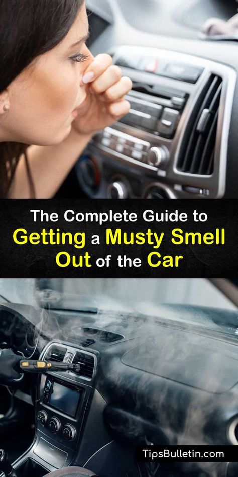 Discover ways to get a musty smell out of a car by cleaning the car interior and using odor absorbers and an air freshener. Mildew emits a bad smell - it may be from the car AC or damp carpet and upholstery. It’s easy to eliminate with proper maintenance. #remove #musty #smell #car How To Make Your Car Smell Good Easy Diy, Make Car Smell Good, Car Smell Hacks, Car Odor Eliminator, Mold Smell, Best Car Air Freshener, Diy Car Cleaning, Car Seat Upholstery, Cleaning Air Vents