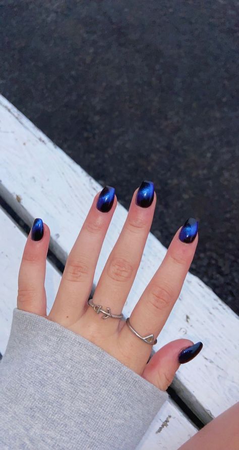 Blue Shiny Nails, Sapphire Blue Nails, Nail Options, Shiny Nails, Short Nail, Cat Nails, Dark Nails, Blue Cat, Short Nail Designs