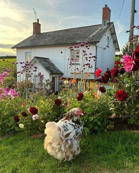 Charming Cottages and Gardens 🍃🌹 | Country Cottage ☘️🥀🐦🌿🐓 | Facebook Country Farmhouse Outside, Small Country Cottage, Cottage Core Farm, Cottage Core Garden, Farmhouse Outside, Farm Core, Country Cottage Homes, Aesthetic Cottage, Cottage Farm